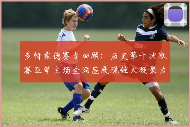 多特蒙德赛季回顾：历史第十次联赛亚军主场全满座展现强大凝聚力
